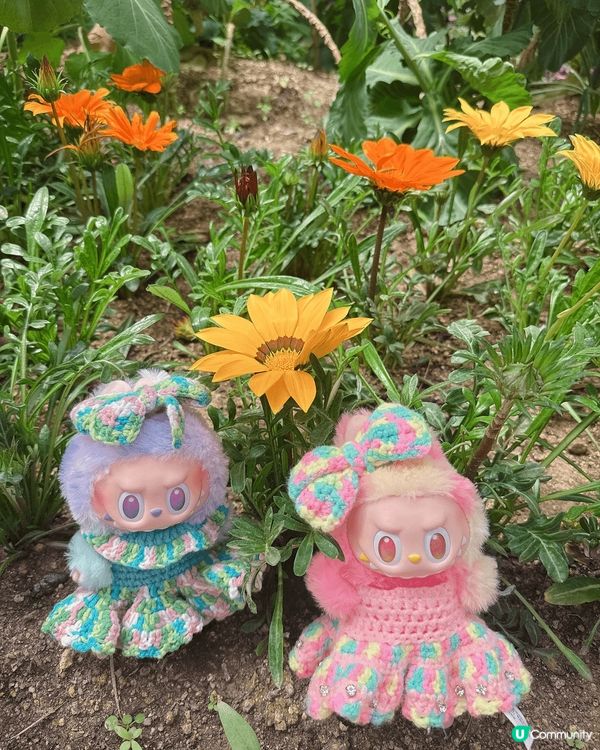 今次去咗首爾的首爾林公園睇花花同影相📸打卡，公園入面都好大，...