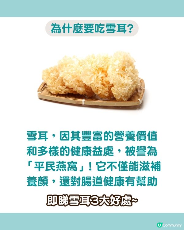 「平民燕窩」6款雪耳糖水食譜🍯 養顏減脂 滋陰潤肺！女生必收藏！