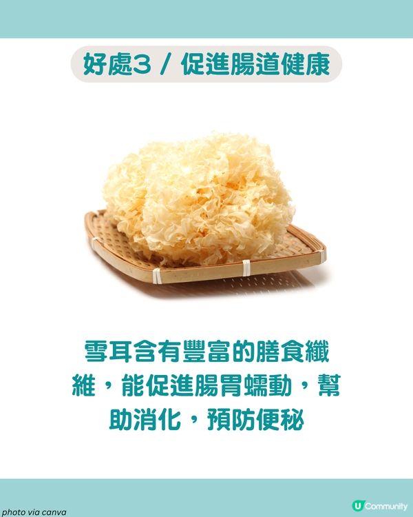 「平民燕窩」6款雪耳糖水食譜🍯 養顏減脂 滋陰潤肺！女生必收藏！