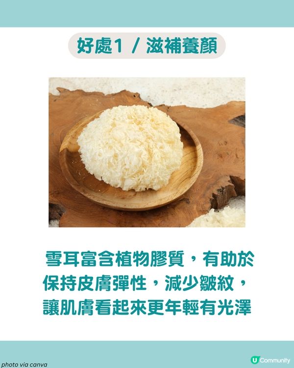 「平民燕窩」6款雪耳糖水食譜🍯 養顏減脂 滋陰潤肺！女生必收藏！