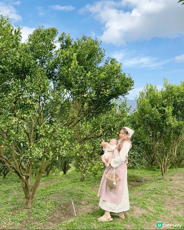 去清邁同BB旅行，呢個係一個橘子園，