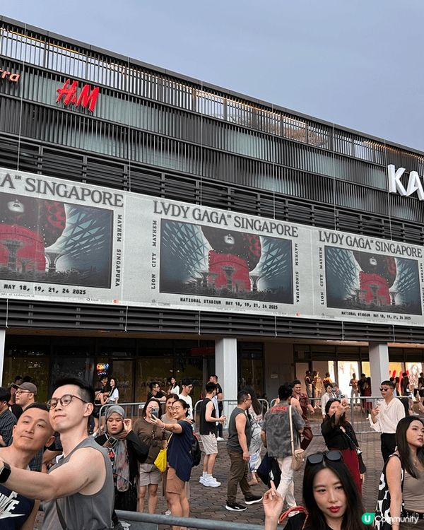 可以欣賞Lady Gaga現場演出