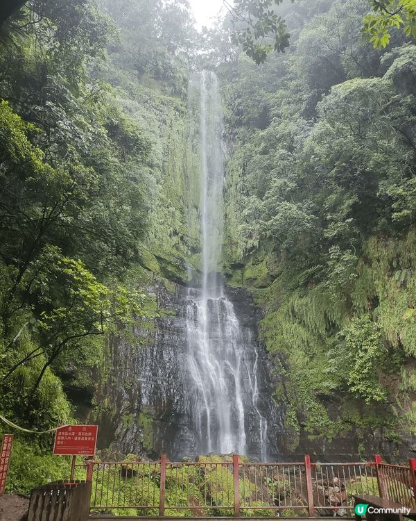 宜蘭之旅：落住雨全身濕透上山睇五峰旗瀑布。