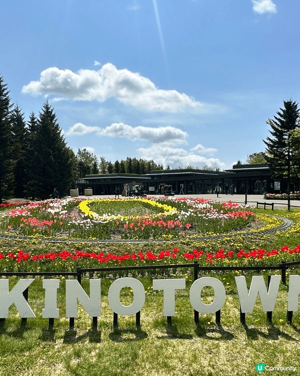 5月尾前往北海道唯一國營公園 國營瀧野鈴蘭丘陵公園，由札幌市...