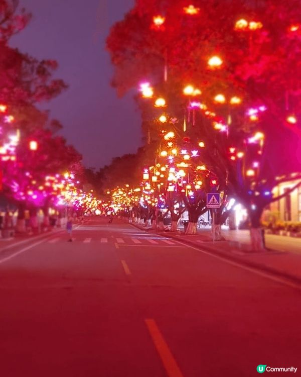 復活節去南沙參加燈會，雖然日間及晚間的景色各異，但同樣動人心...