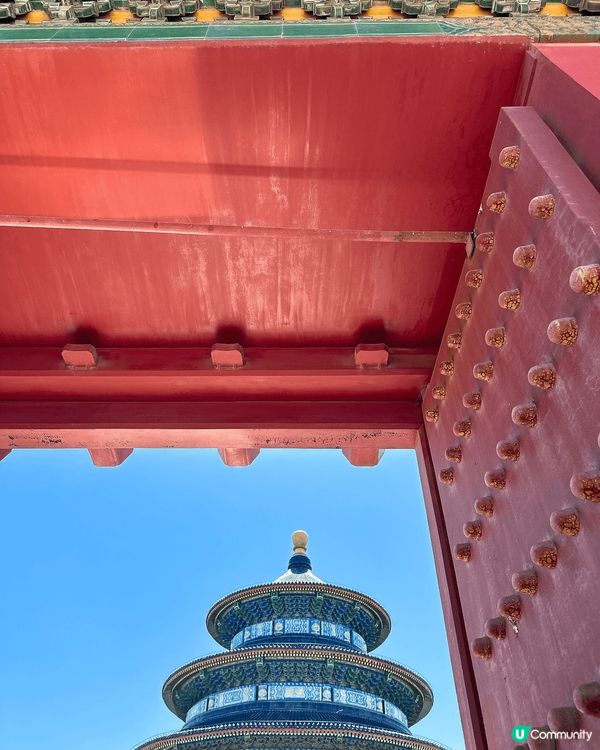 天壇公園遊記！🏛️ 感受歷史文化！✨