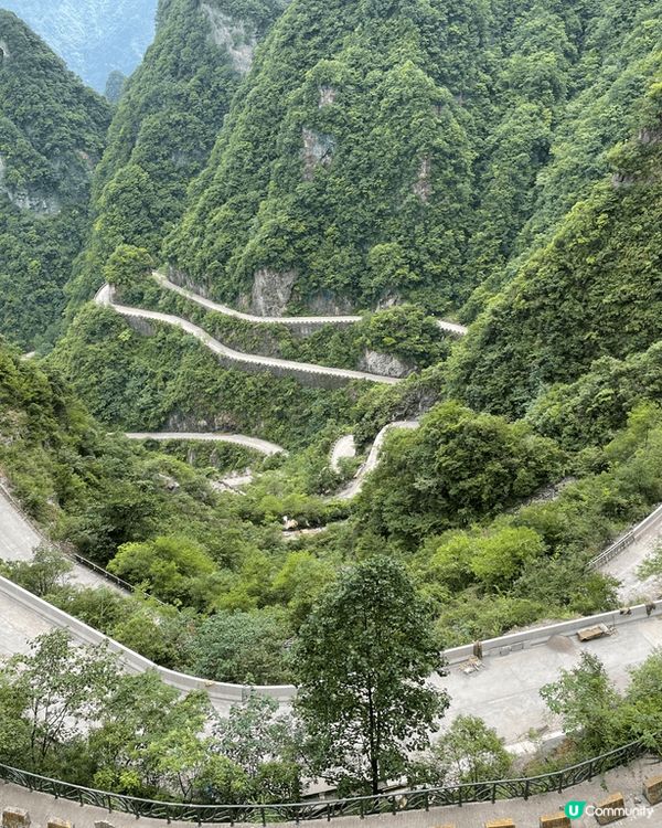 張家界中國必去景點之一，要行遊成個山頭有排行，簡短行程都去了...