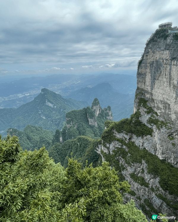 張家界中國必去景點之一，要行遊成個山頭有排行，簡短行程都去了...