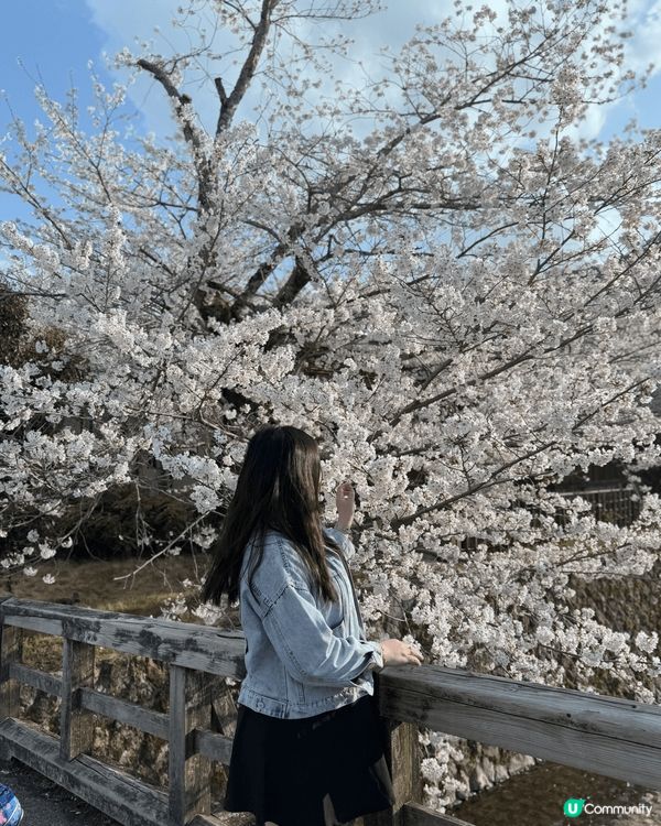 啱啱四月一家三口帶埋奶奶一齊去家庭旅行.係我哋第一次嘅家庭旅...