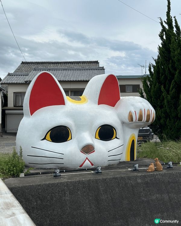 名古屋景點｜常滑市巨大招財貓