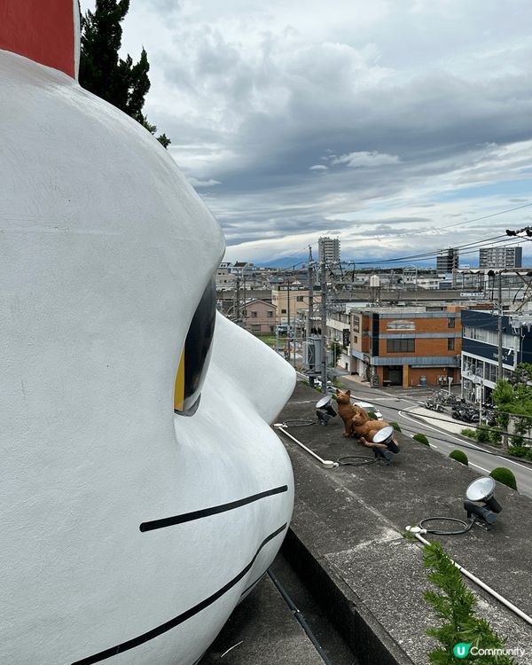 名古屋景點｜常滑市巨大招財貓