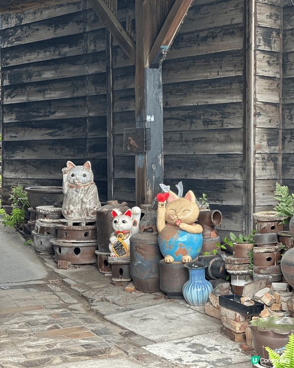 名古屋景點｜常滑市巨大招財貓