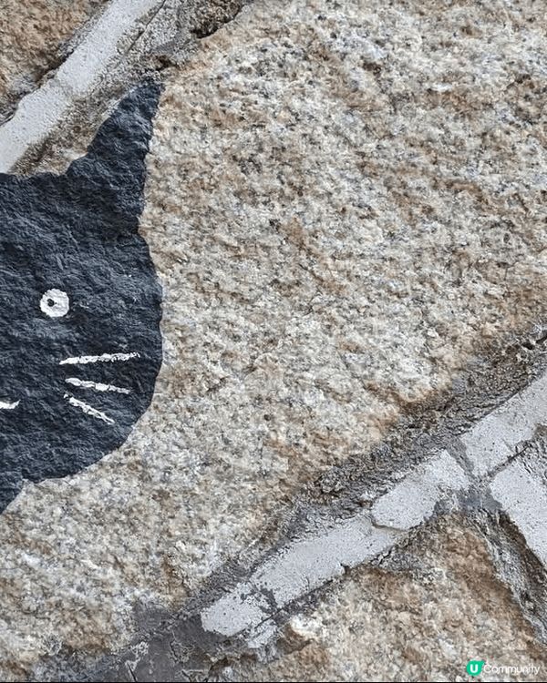 廈門頂澳貓街，小社區巷弄中藏著不少温暖人心扉的貓咪壁畫和裝飾...