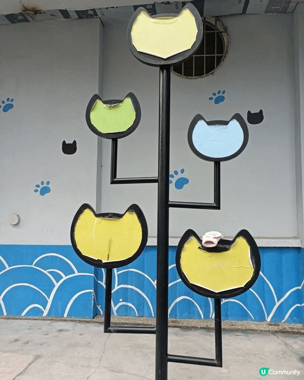 廈門頂澳貓街，小社區巷弄中藏著不少温暖人心扉的貓咪壁畫和裝飾...