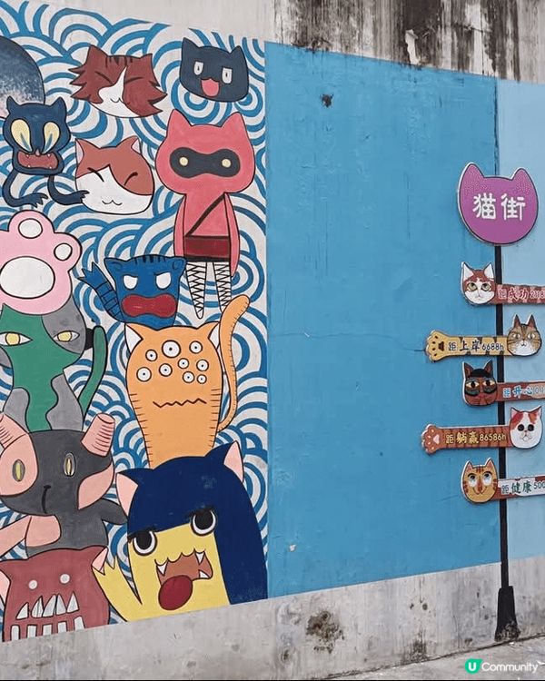 廈門頂澳貓街，小社區巷弄中藏著不少温暖人心扉的貓咪壁畫和裝飾...