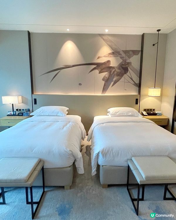 🇨🇳深圳龍華區高性價比酒店推薦🤩