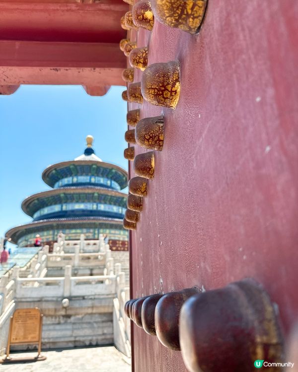 天壇公園遊記！🏛️ 感受歷史文化！✨