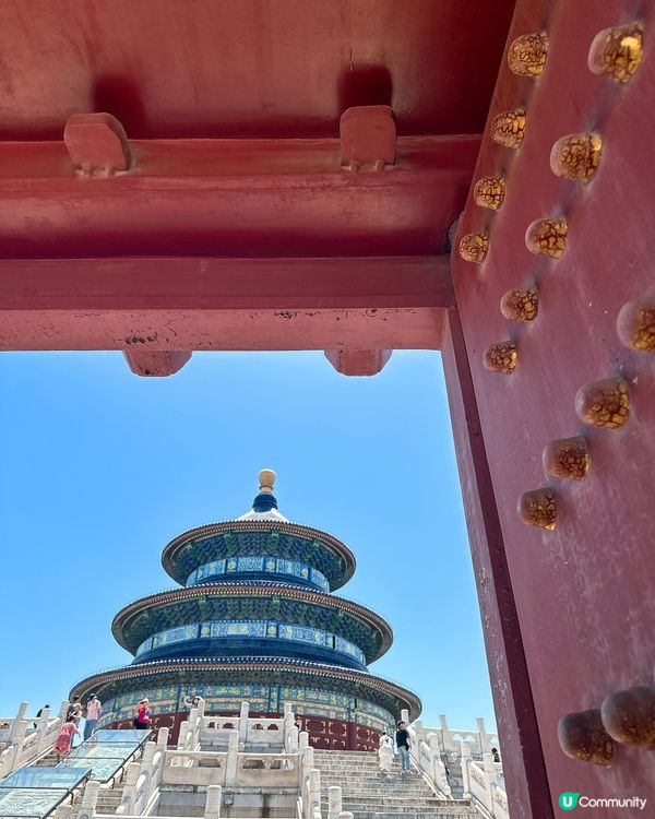 天壇公園遊記！🏛️ 感受歷史文化！✨