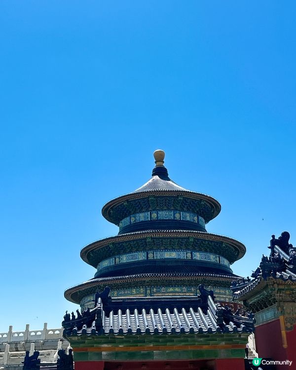 天壇公園遊記！🏛️ 感受歷史文化！✨