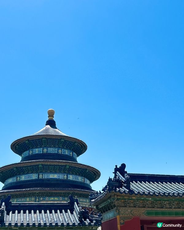 天壇公園遊記！🏛️ 感受歷史文化！✨