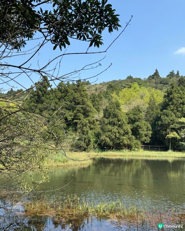 台灣陽明山一日遊🌾🌿🌱🍃
