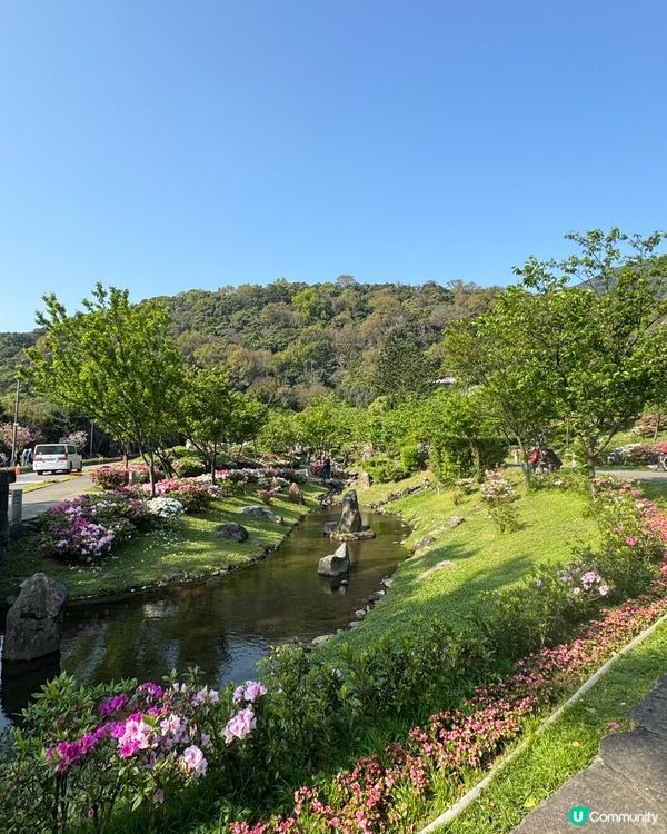 台灣陽明山一日遊🌾🌿🌱🍃