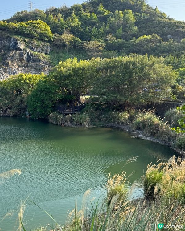 台灣陽明山一日遊🌾🌿🌱🍃