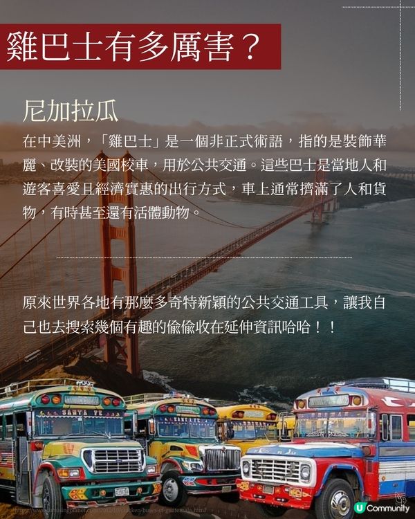 隨機挑書第二彈！美洲遊記📚 探索世界🌍✈️