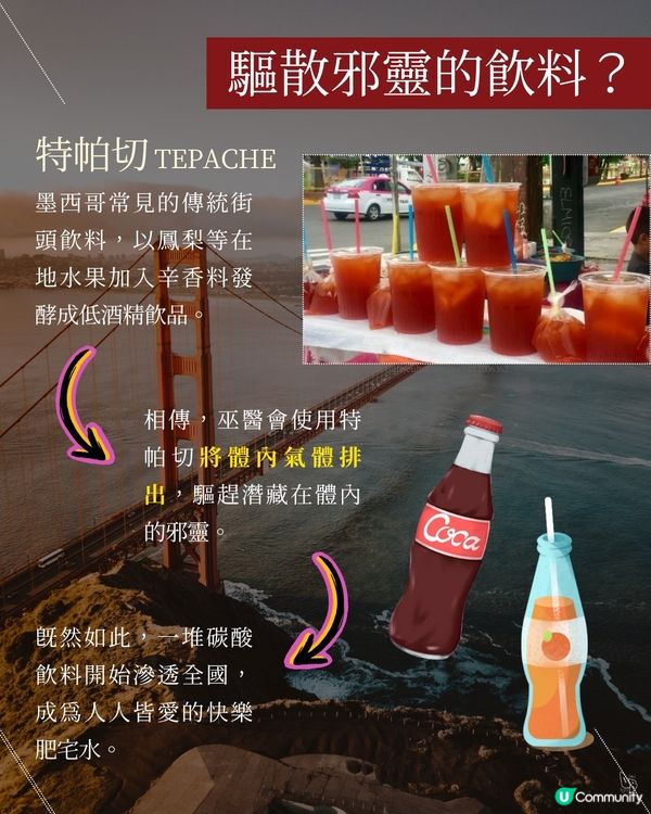 隨機挑書第二彈！美洲遊記📚 探索世界🌍✈️