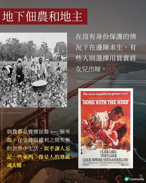 隨機挑書第二彈！美洲遊記📚 探索世界🌍✈️