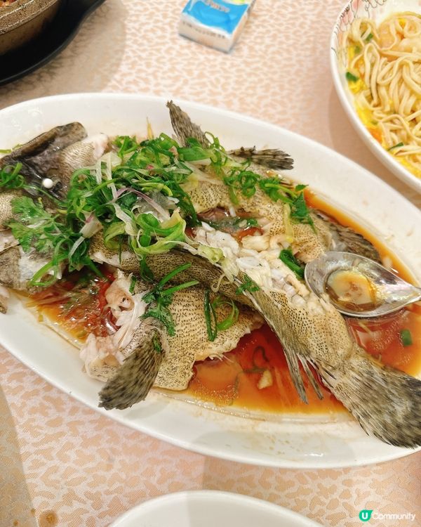 海港晚餐😋！一家大細食到勁滿足！🥳