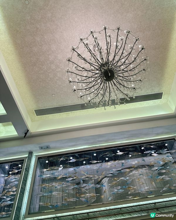 海港晚餐😋！一家大細食到勁滿足！🥳