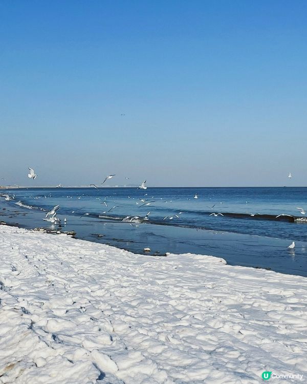 阿那亞凍海🌅，日出日落都咁靚！🌊