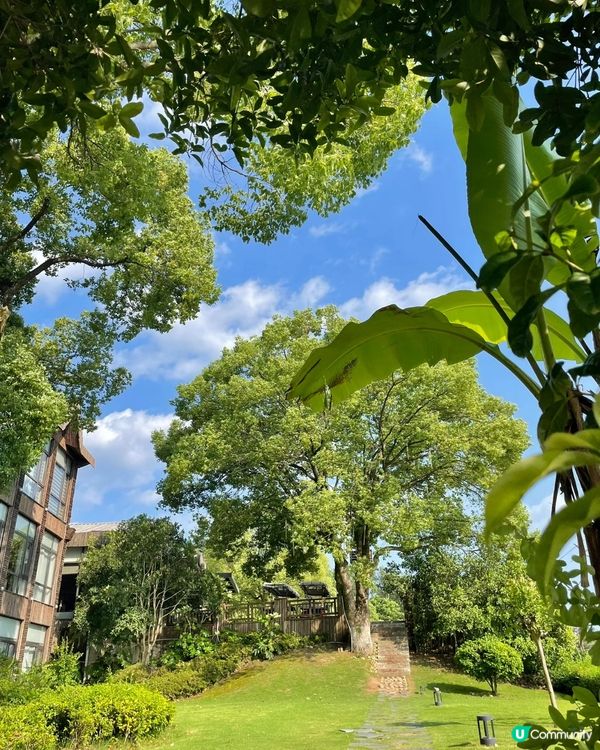 千島湖自駕遊，躺平治癒之旅！ 🚗☀️