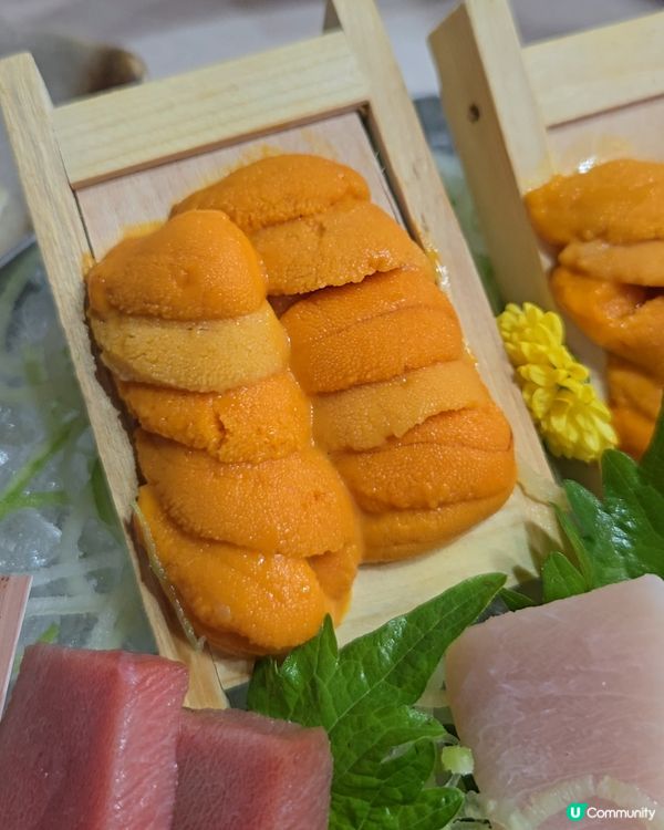 屯門開放題！🤤 3.5小時任食海膽！🍣