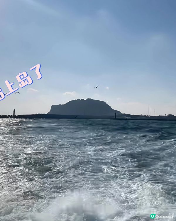 濟州牛島🌊！藍洞仙境🤩，烤魷魚超正🤤！ 