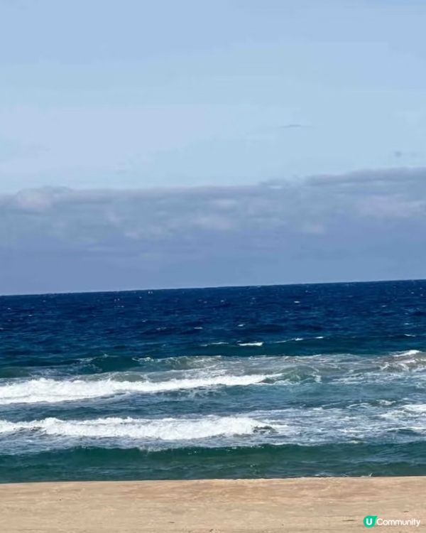 濟州牛島🌊！藍洞仙境🤩，烤魷魚超正🤤！ 