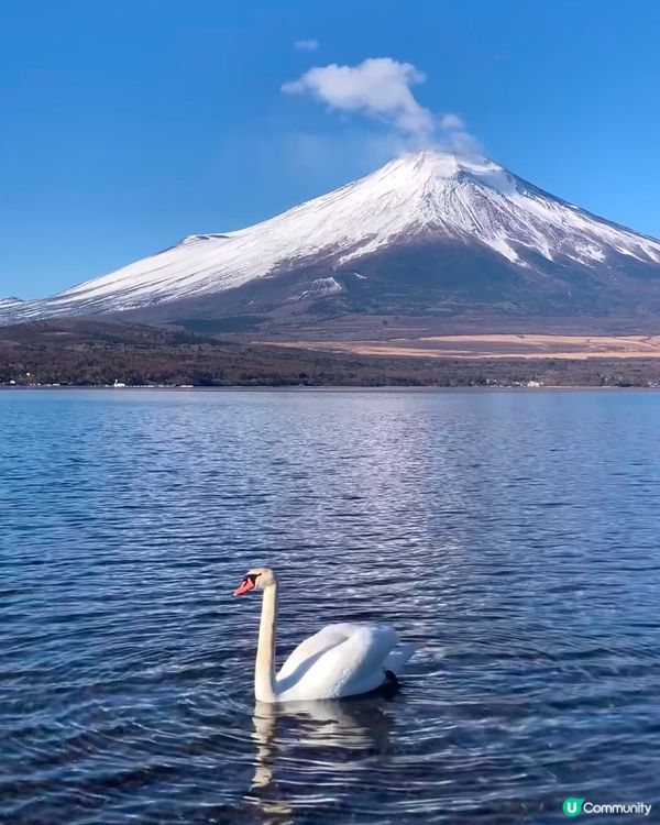 富士山布丁🍮+無敵靚景！🗻📸 #東京旅行