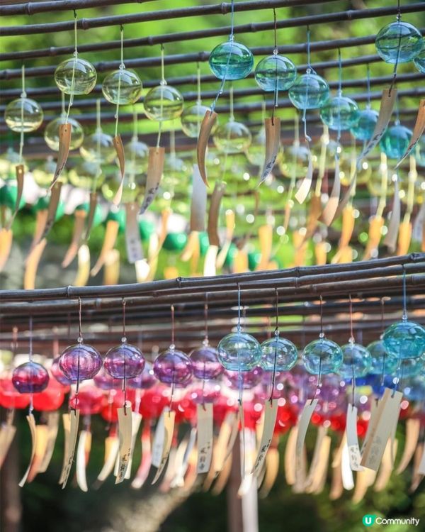 日本夏日限定🎐風鈴祭！打卡浪漫🎐之旅！😍