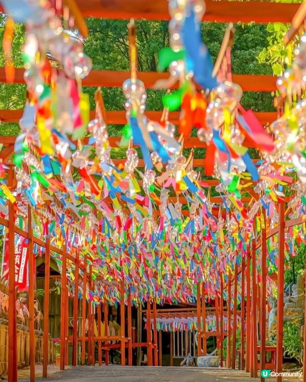 日本夏日限定🎐風鈴祭！打卡浪漫🎐之旅！😍