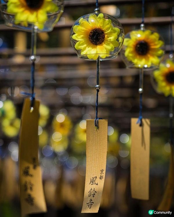 日本夏日限定🎐風鈴祭！打卡浪漫🎐之旅！😍