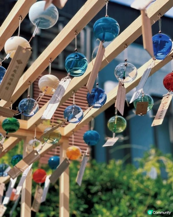 日本夏日限定🎐風鈴祭！打卡浪漫🎐之旅！😍