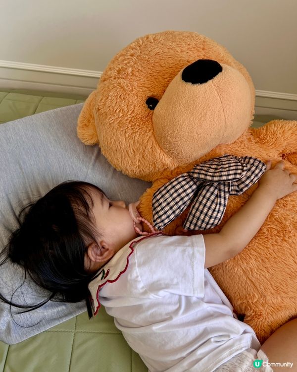 熱到溶？🧊涼感枕頭救星！bb都搶住訓！😴