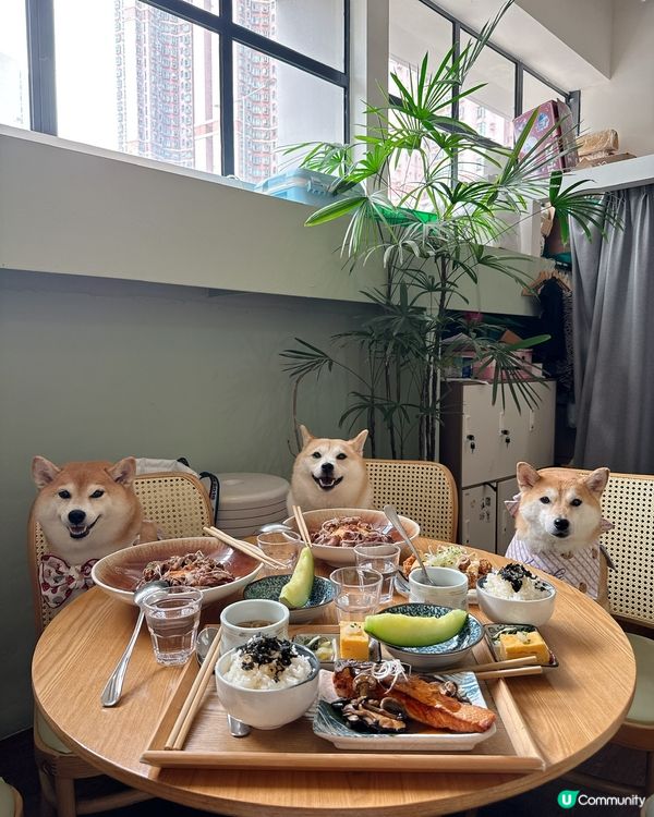 / 帶毛孩食精緻日式料理 \