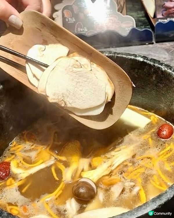 皇庭广场 
芸山季·傣·云南野生菌火锅

