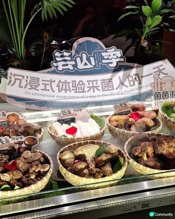 皇庭广场 
芸山季·傣·云南野生菌火锅

