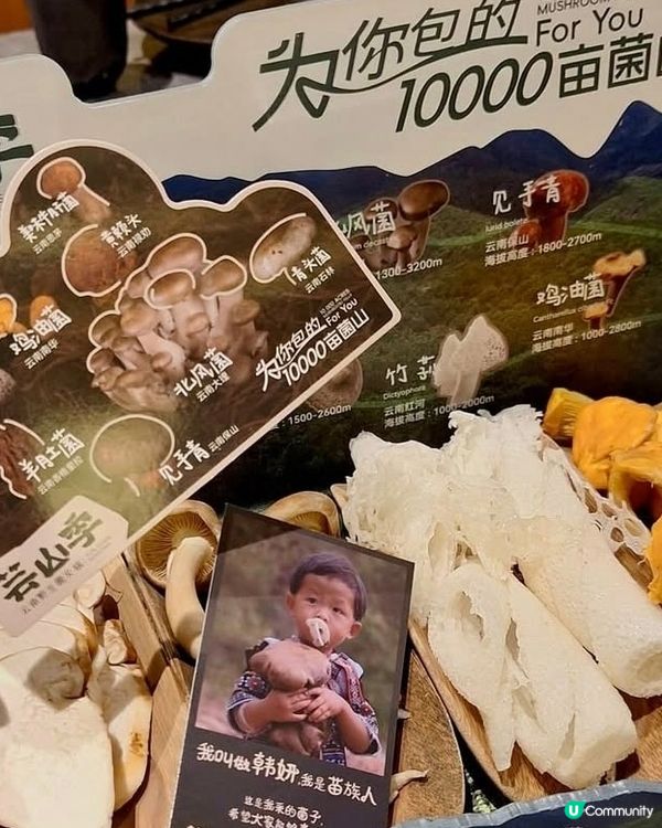 皇庭广场 
芸山季·傣·云南野生菌火锅

