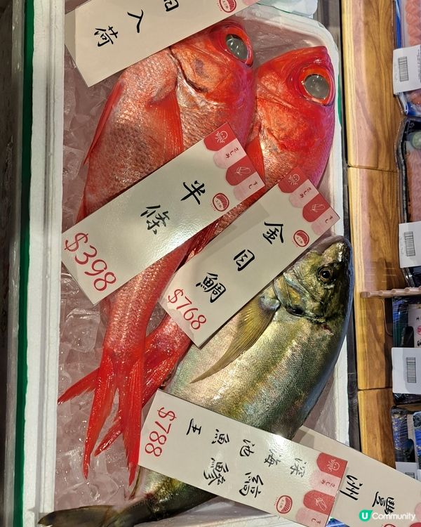 咁大條魚