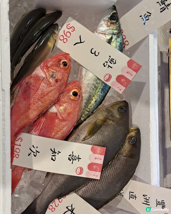 咁大條魚