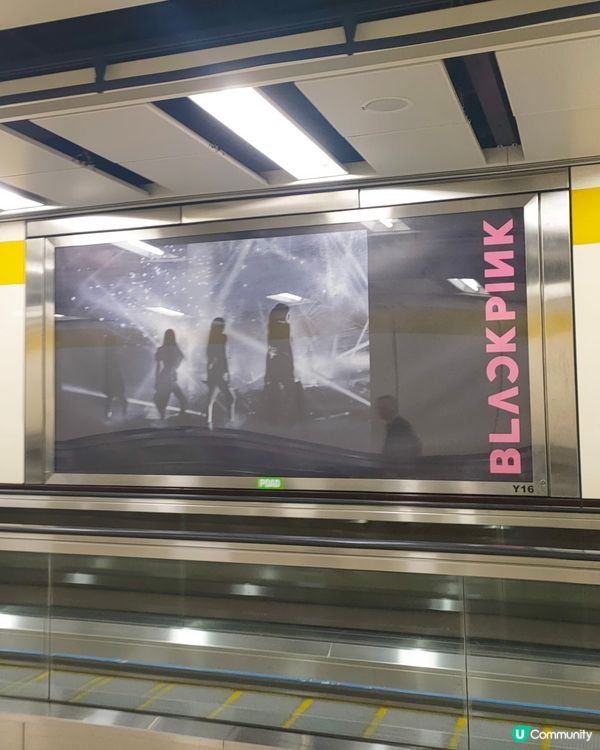 粉墨香港站演唱會廣告打卡位📸！記錄美好回憶✨！